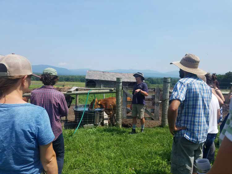 201811 Pasture Walk at Ottercrest Farm
